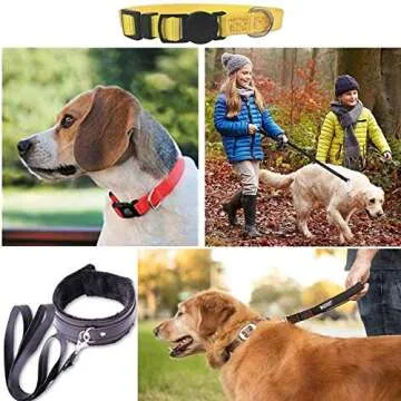 JAKAGO Swivel Lobster Clasps Clips Lanyard Snap Hook and Slide Buckles and Metal D Ring Semi-Circular D Ring for Handbag Bags Cat Dog Collar Buckles Ring Hand DIY Accessories Dog Leash Hardware Craft