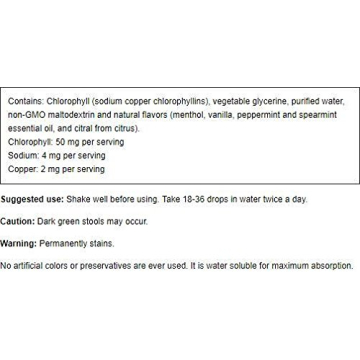 ChlorOxygen Chlorophyll Concentrate for Natural Energy Support