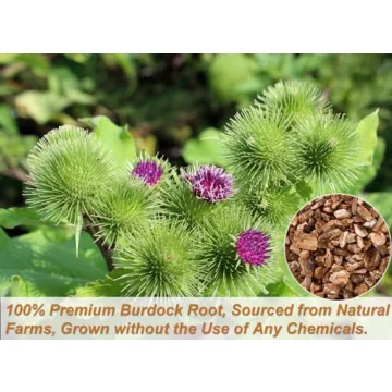 Burdock Root Tea Bags - 100% Natural & Caffeine-Free