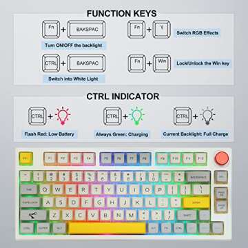 EPOMAKER Theory TH80 75% Hot Swappable RGB 2.4Ghz/Bluetooth 5.0/Wired Mechanical Gaming Keyboard with MDA PBT Keycaps, Large Capacity Battery, Knob Control for Windows/Mac