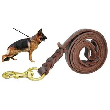 Berry Pet Leather Dog Leash - Training & Walking Braided Dog Leash - 4 ft by 5/8 in (120cm 1.6cm) - ...