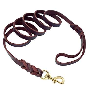 Berry Pet Leather Dog Leash - Training & Walking Braided Dog Leash - 4 ft by 5/8 in (120cm 1.6cm) - Latigo Leather Brown