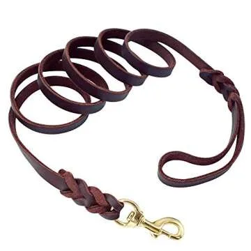Berry Pet Leather Dog Leash - Training & Walking Braided Dog Leash - 4 ft by 5/8 in (120cm 1.6cm) - Latigo Leather Brown