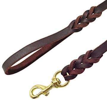Berry Pet Leather Dog Leash - Training & Walking Braided Dog Leash - 4 ft by 5/8 in (120cm 1.6cm) - Latigo Leather Brown