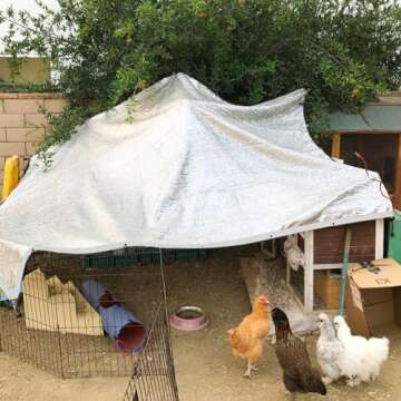 Durable 10x20' Aluminum Shade Cloth for Optimal Sun Protection