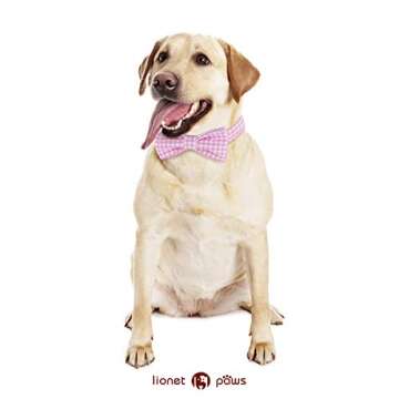 Lionet Paws Dog Collar with Bowtie, Comfortable Adjustable Cute Pink Gingham Bow Tie Collar for Female Dogs Gift, XLarge, Neck 16-26 inches