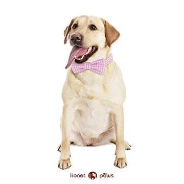 Lionet Paws Dog Collar with Bowtie, Comfortable Adjustable Cute Pink Gingham Bow Tie Collar for Female Dogs Gift, XLarge, Neck 16-26 inches