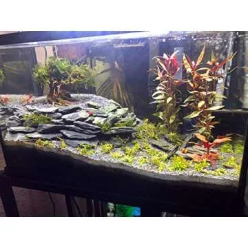 Voulosimi Natural Slate Rocks PH Neutral Stone Perfect Rocks for Aquariums, Landscaping Model,Tank Decoration,Amphibian Enclosures (12 LB, 5-7 inch)