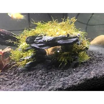 Voulosimi Natural Slate Rocks PH Neutral Stone Perfect Rocks for Aquariums, Landscaping Model,Tank Decoration,Amphibian Enclosures (12 LB, 5-7 inch)