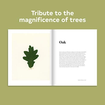 Forest Tree Photography Book for Nature Lovers