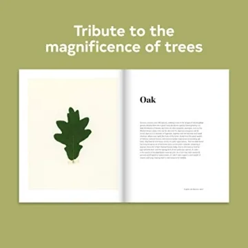 Forest Tree Photography Book for Nature Lovers