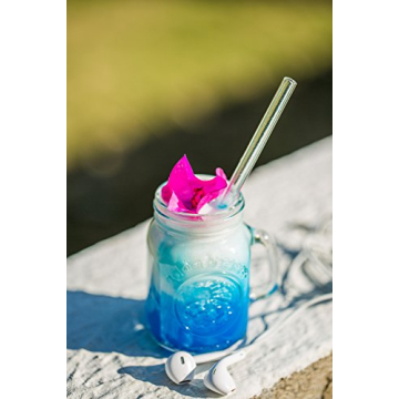 Hummingbird Glass Straws Eco-Friendly 4-Pack for Drinks