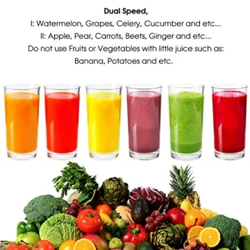 MegaChef Juice Extractor with Dual Speed and Stainless Steel