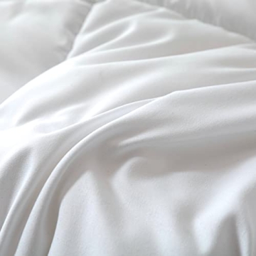 Dorrin Nessin King Size Down Alternative Comforter