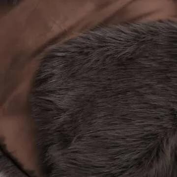 Amazhiyu Women’s Faux Fur Cropped Coat in Coffee