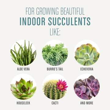 Miracle-Gro Succulent Potting Mix, For Indoor Succulents, Aloe Vera and More, Made with Miracle-Gro Plant Food, 4 qt