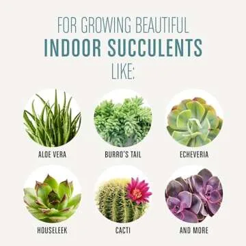 Miracle-Gro Succulent Potting Mix for Indoor Plants 4 qt