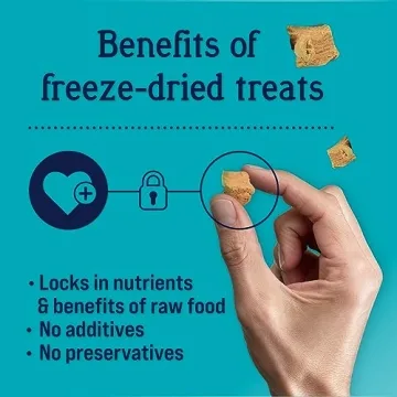 Stewart Freeze Dried Dog Treats Wild Salmon 2.75 oz