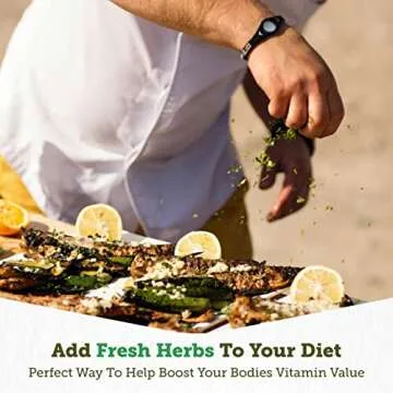 VegTrug 8 Pocket Herb Garden Durable Cedar Wood Planter