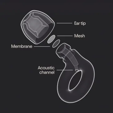 Loop Experience 2 Ear Plugs for Stylish Hearing Protection