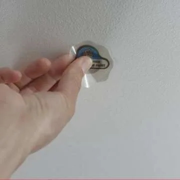 DAP 7079809161 Repair Eclipse Wall Patch, 2 Inch, Clear, 4 Pack,White