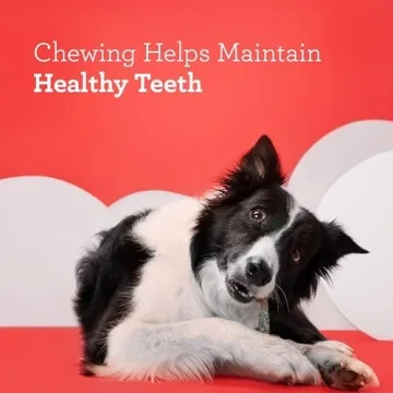 DreamBone Holiday Pretzel Sticks for Dogs, Rawhide-Free Treats