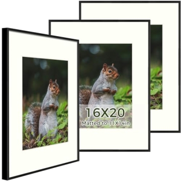 Golden State Art - 16x20 Metal Picture Frames with Mat - Display 11x14 Photo or 16x20 Poster - 16 x ...