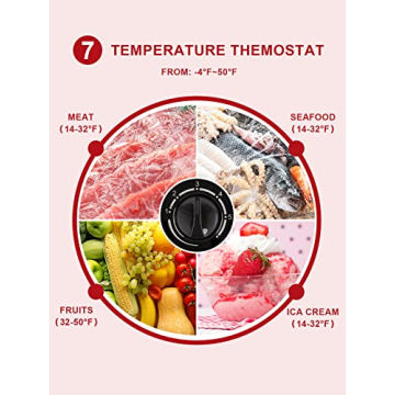 Compact 3.5 Cu.Ft Chest Freezer with Temperature Control