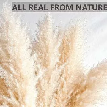 14 Stems 30" inch Dried Pampas Grass Decor Tall, Large Pompas Grass, Boho Neutral Home Decor Bouquet, Fluffy Pampass Grass for Floor Vase Wedding Floral Arrangements Wall Farmhouse Table Decor