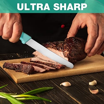 HAUSHOF 6-Piece Steak Knife Set - Premium Serrated Knives in Color