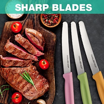 HAUSHOF 6-Piece Steak Knife Set - Premium Serrated Knives in Color