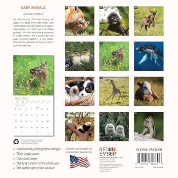 RED EMBER Baby Animals 2025 Wall Calendar 12 Month | 12" x 24" Open | Thick & Sturdy Paper | Giftabl...