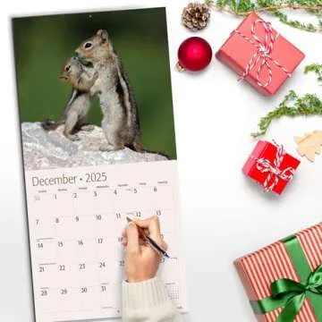 RED EMBER Baby Animals 2025 Wall Calendar 12 Month | 12" x 24" Open | Thick & Sturdy Paper | Giftable | Animal Calendar 2025