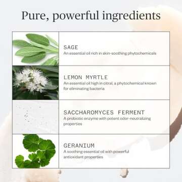 Ursa Major Sublime Sage Natural Spray Deodorant | Aluminum-free, Vegan, Cruelty-free, Non-Staining |...