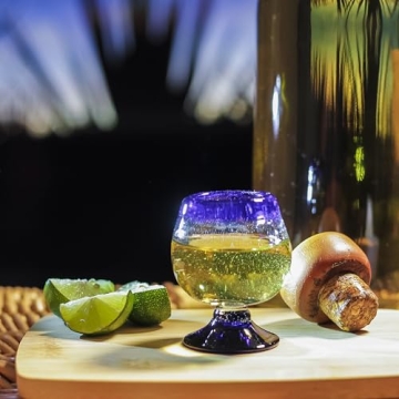 Elegant Hand Blown Mexican Tequila Shot Glasses Set of 4