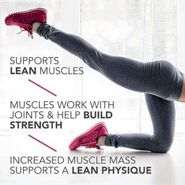 Pure Protein Bars - High Protein, Low Sugar Snacks