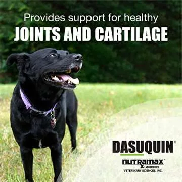 Nutramax Dasuquin Joint Health Soft Chews for Dogs