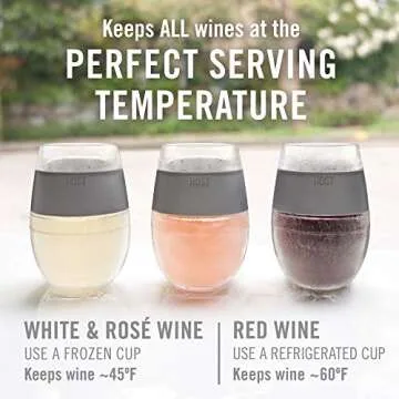 Host Cooling Cup Set of 1 Plastic Double Wall Insulated Freezable Drink Chilling Tumbler with Freezi...