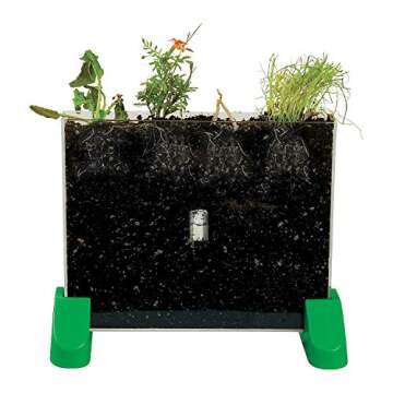 Fun Express Watch It Grow Plant Viewer - Educational Science Tool for Kids