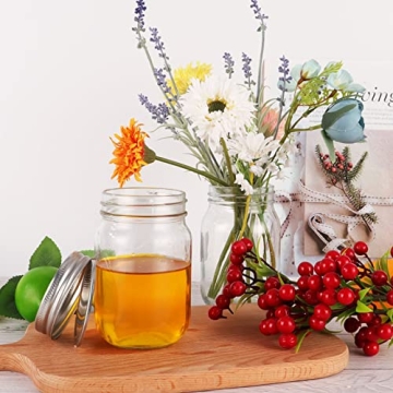 Haneye 20 Pack Glass Mason Jars with Lids for Storage