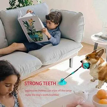 Askhald Dog Chew Toy for Aggressive Chewers and Pups