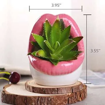 WHJY Sexy Lips Planter Pot - Fun Ceramic Succulent Holder in Multiple Colors