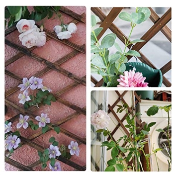 Expandable Wooden Wall Trellis Pack for Plants and Decor