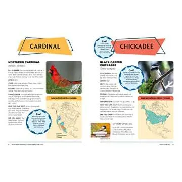 Audubon Birding Adventures for Kids: Activities and Ideas for Watching, Feeding, and Housing Our Feathered Friends