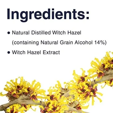 Witch Hazel Pore Perfecting Toner - 16 Ounce