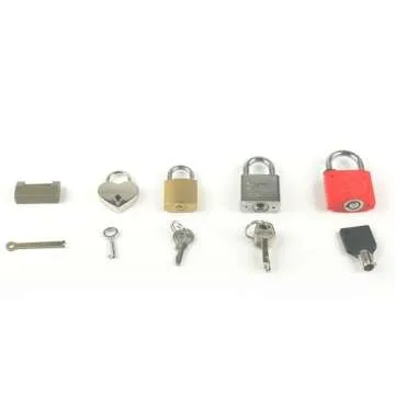 MEROCO Lock and Key with Wood Tray Set Fine Motor Skill Sorting Learning Toys Travel Games for Toddlers 3-5 Years