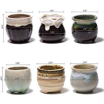 FairyLavie 2.5 Inch Ceramic Succulent Plant Pot, Rustic Style Cute Little Pots for Plants, Planter w...