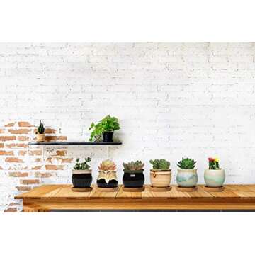 FairyLavie 2.5 Inch Ceramic Succulent Plant Pot, Rustic Style Cute Little Pots for Plants, Planter with Bamboo Tray, Perfect for Home Office Decor and Ideal Gift for Family Friends Colleague, Set of 6