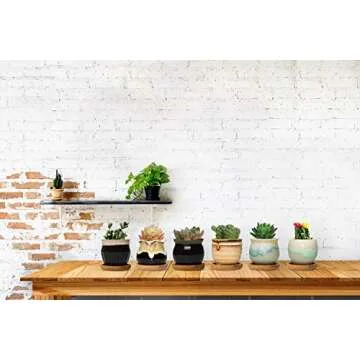 FairyLavie 2.5 Inch Ceramic Succulent Plant Pot, Rustic Style Cute Little Pots for Plants, Planter with Bamboo Tray, Perfect for Home Office Decor and Ideal Gift for Family Friends Colleague, Set of 6