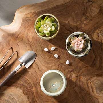 FairyLavie 2.5 Inch Ceramic Succulent Plant Pot, Rustic Style Cute Little Pots for Plants, Planter with Bamboo Tray, Perfect for Home Office Decor and Ideal Gift for Family Friends Colleague, Set of 6